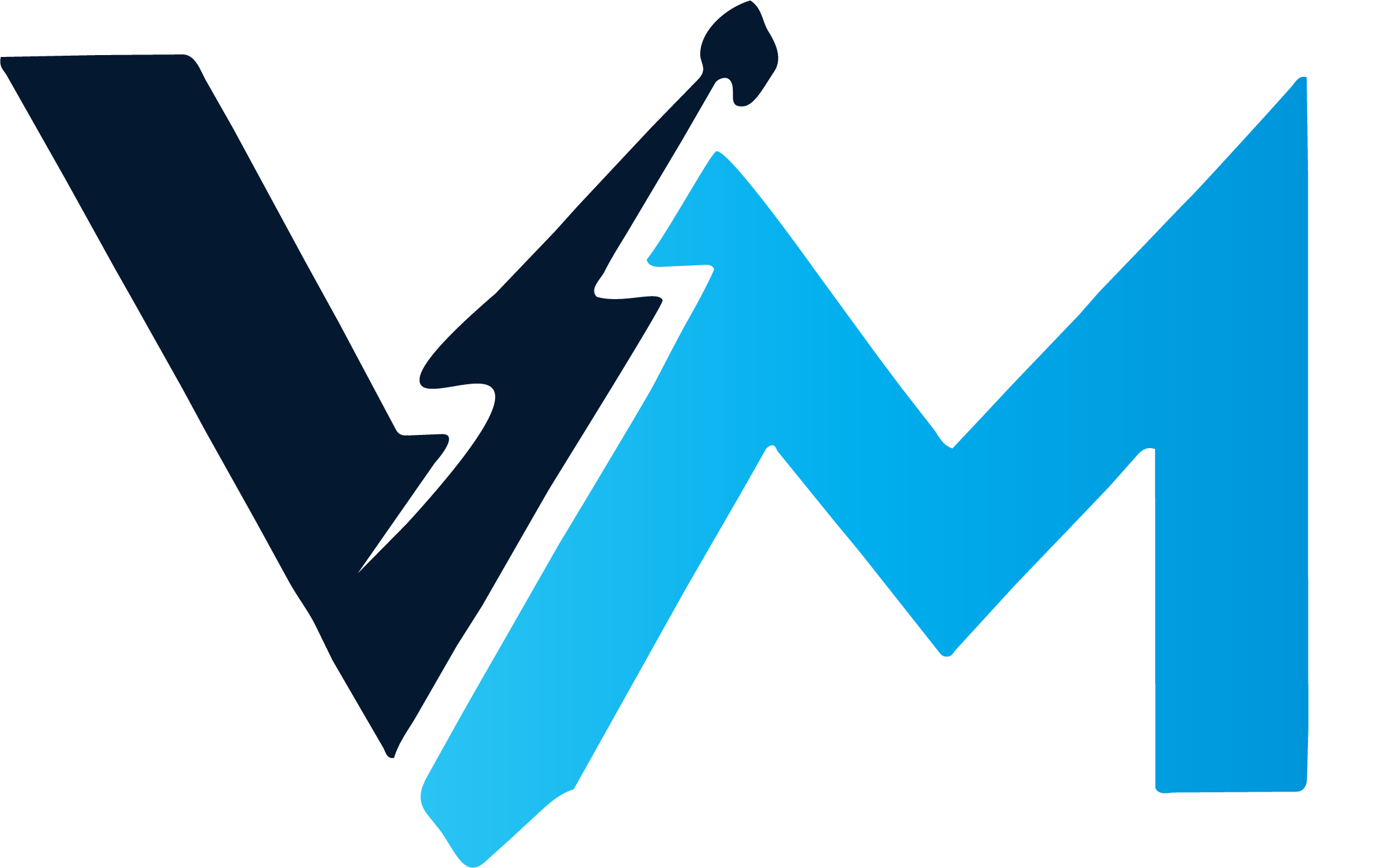 VM logo